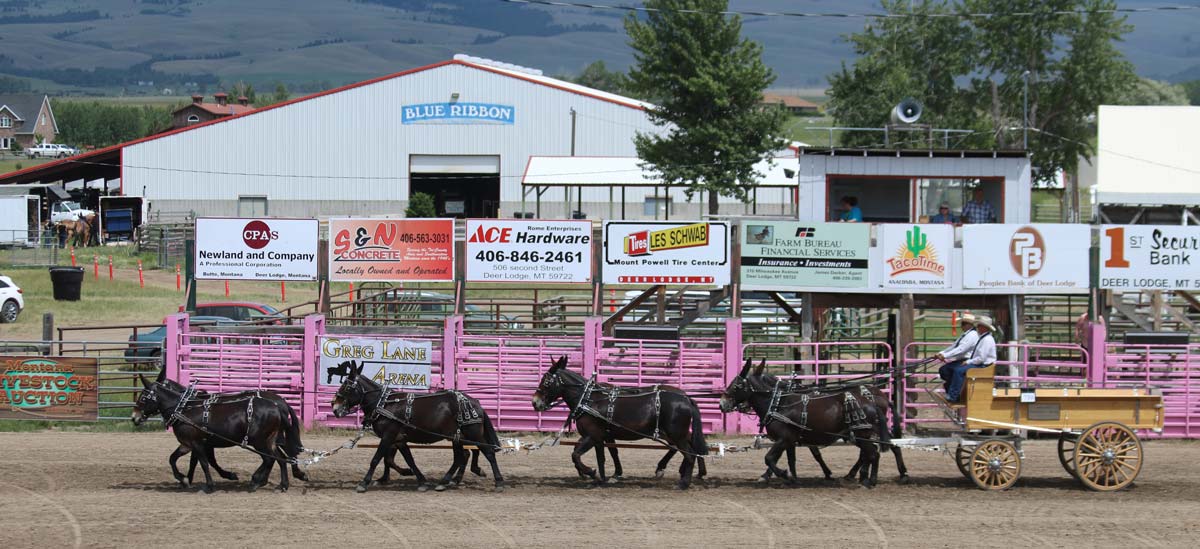 Event Information for Competitors Big Sky Draft Horse Expo