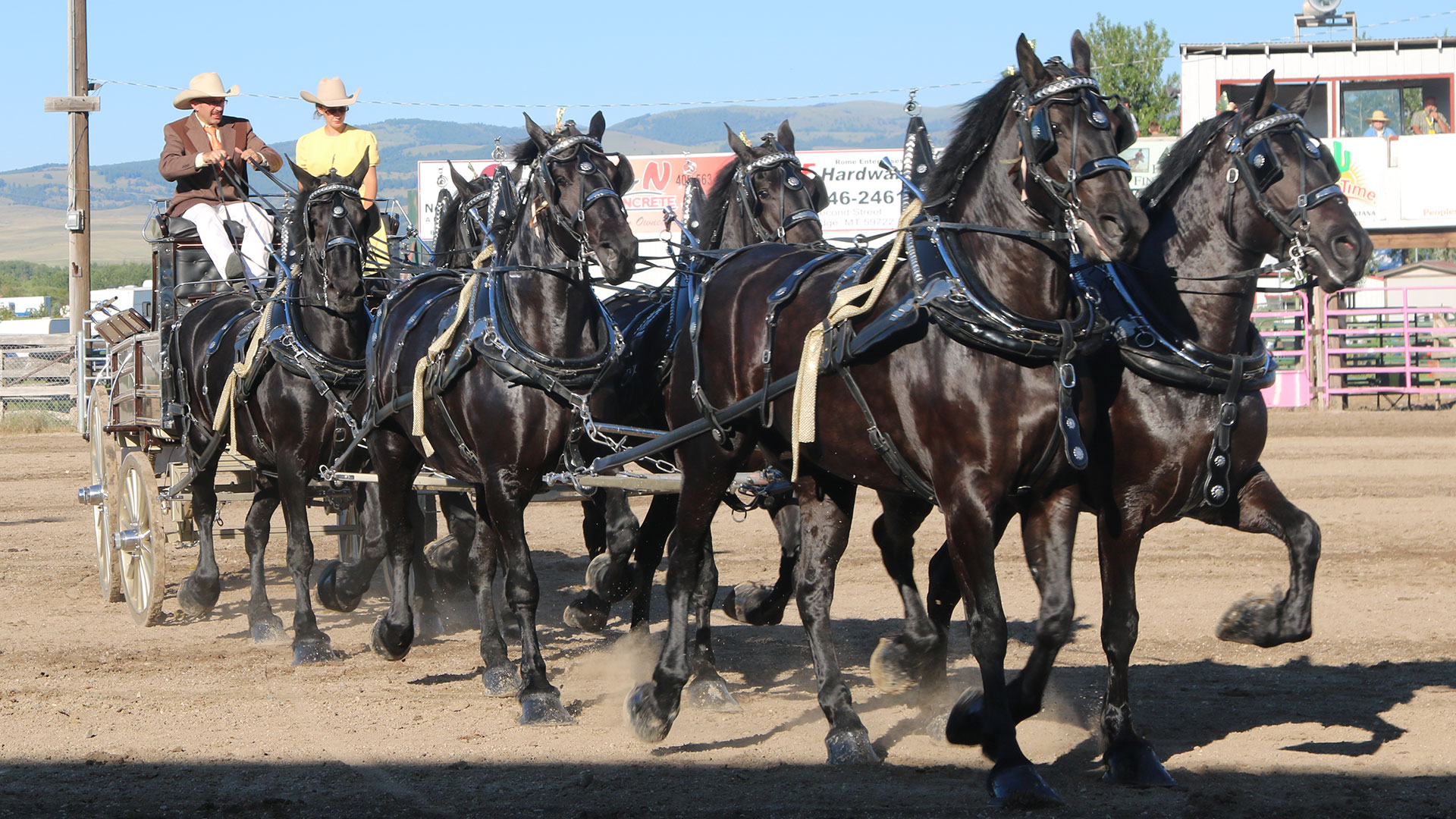 About The Big Sky Draft Horse Expo