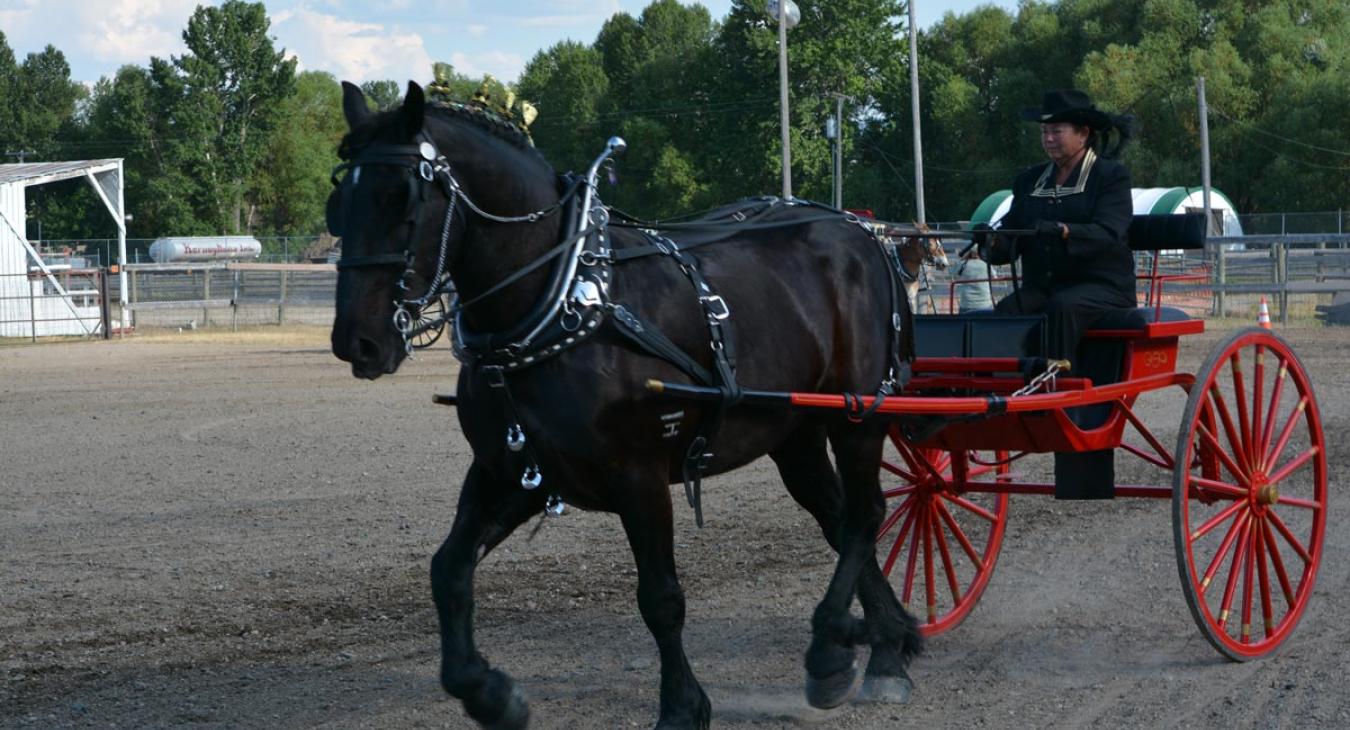 2021 Class Winner List